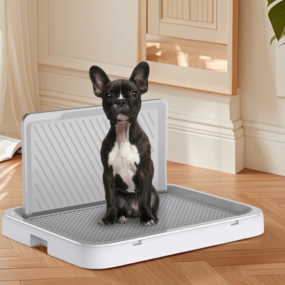 Vassoio igienico per cani con  - Bench Dog Hole recensione e prezzo